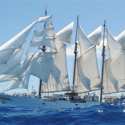 开元娱乐app官网版截图